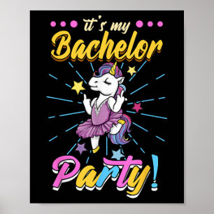 Seine Bachelor Party Poster