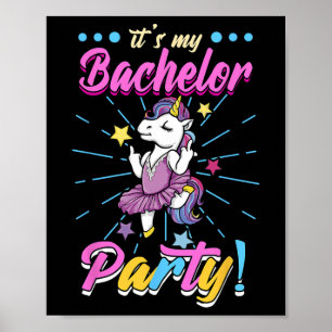 Seine Bachelor Party Poster