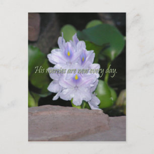 Seine Barmherzigkeit Postkarte