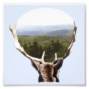 Seine Domäne Fotodruck