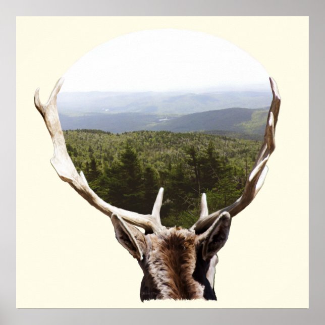 Seine Domäne Poster (Vorne)