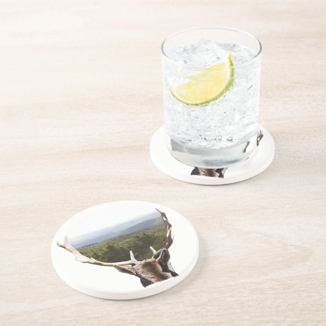 Seine Domäne Untersetzer (Seite)