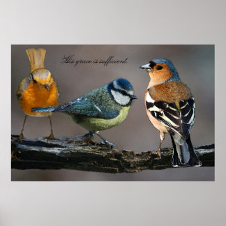 Seine Gnade ist ausreichend. Poster