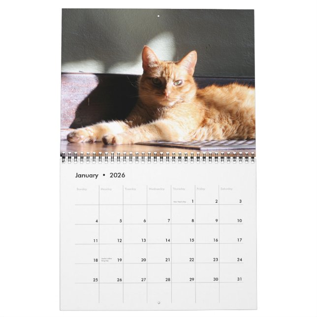 Seine Majestät der Kalender der Katzen-2013 (Jan 2026)