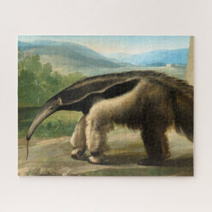Seine Majestät Riesenspater von Anton R. Mengs