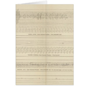 Seismogramme in Kalifornien 15