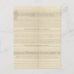 Seismogramme in Kalifornien 15 Postkarte