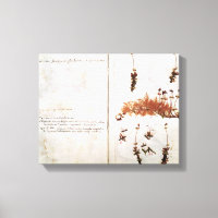 Seite 15 von einem Herbarium