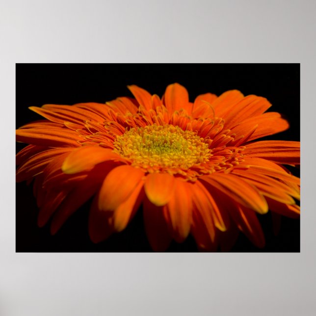 Seite an Gerber Poster (Vorne)