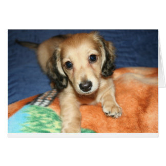 Seite an Seite oder Meilen