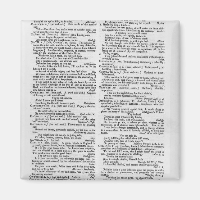 Seite aus einem Wörterbuch Magnet (Vorne)