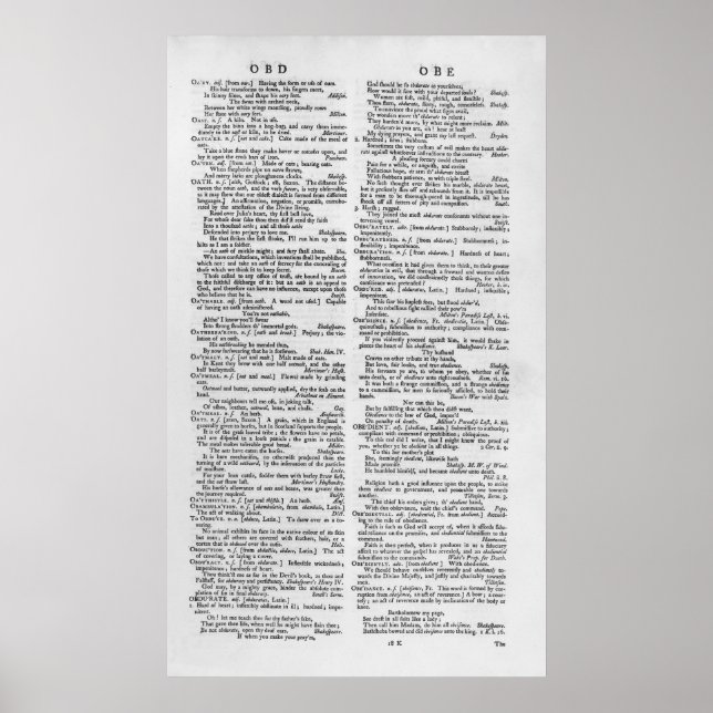 Seite aus einem Wörterbuch Poster (Vorne)