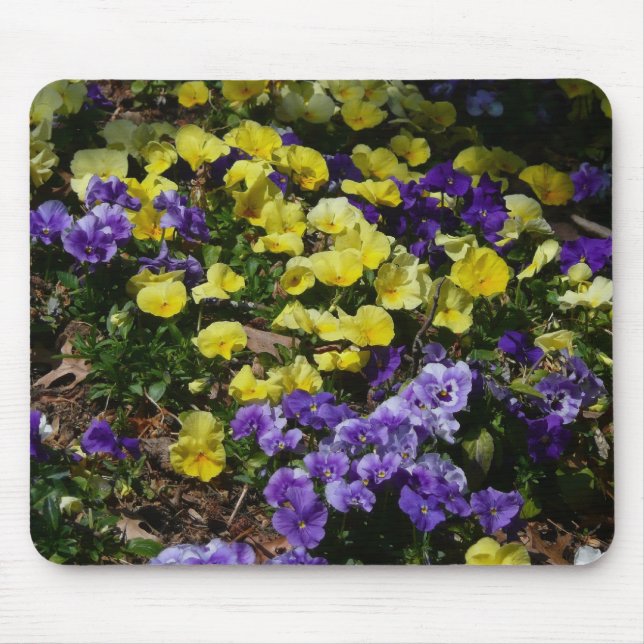 Seite der Lila und gelben Stiefmütterchen Mousepad (Vorne)