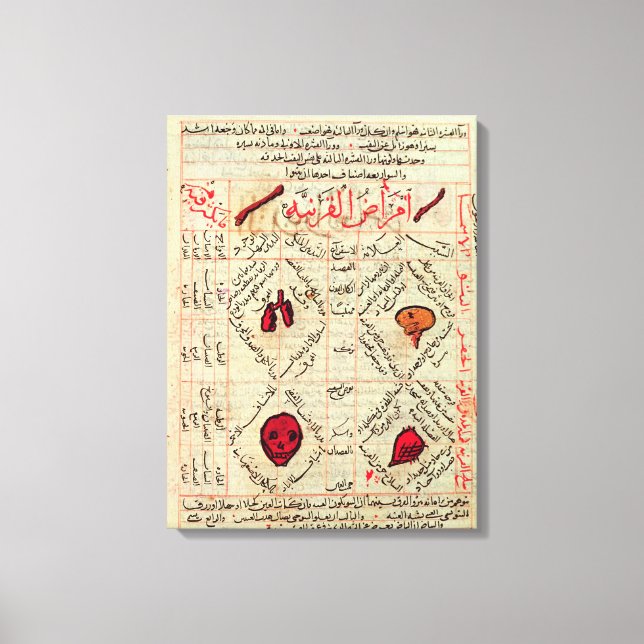 Seite des "Kanons der Medizin" von Avicenna Leinwanddruck (Vorderseite)