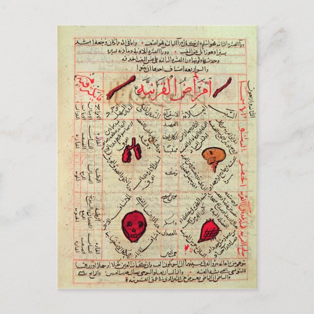 Seite des "Kanons der Medizin" von Avicenna Postkarte (Vorderseite)