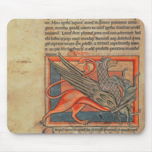 Seite des Textes mit einer Illustration eines Mousepad (Vorne)