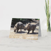 Seite von Side Rhinos