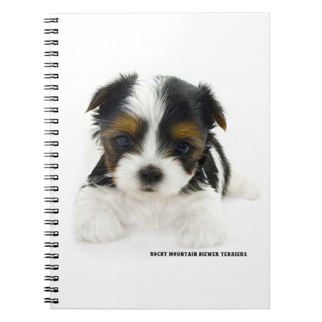 Seiten des Anmerkungs-Buch-80 - Biewer Terrier Notizblock (Vorderseite)