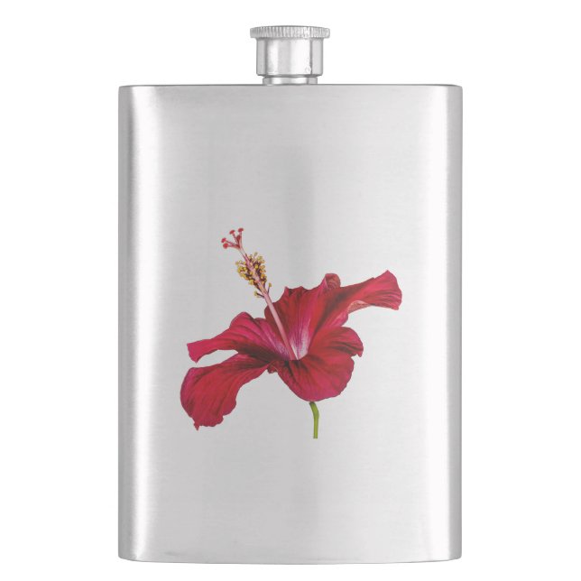 Seitenansicht der Blume des roten Hibiskus Flachmann (Vorderseite)