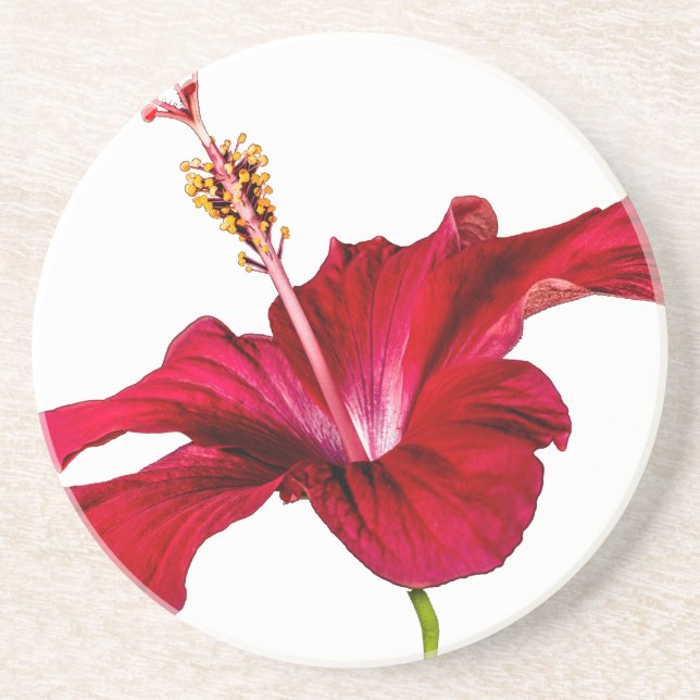 Seitenansicht der Blume des roten Hibiskus Getränkeuntersetzer (Vorne)