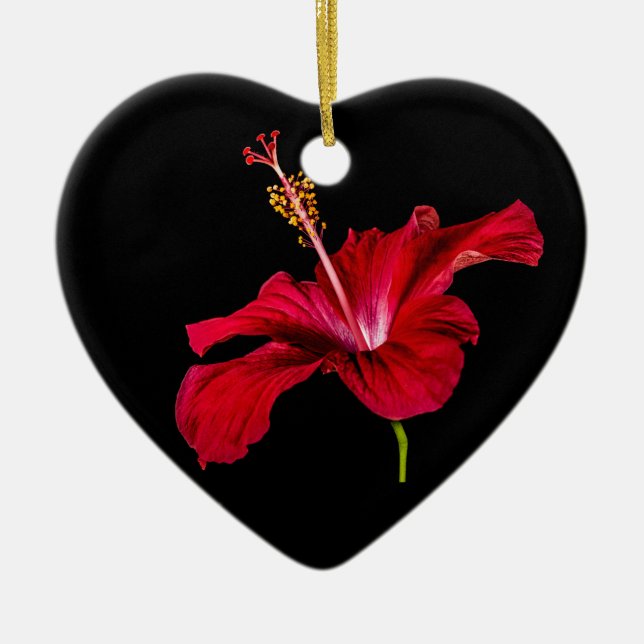 Seitenansicht der Blume des roten Hibiskus Keramikornament (Vorne)