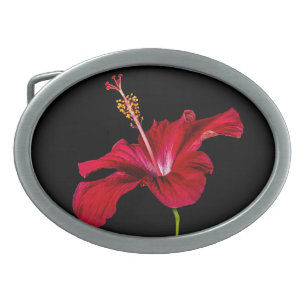 Seitenansicht der Blume des roten Hibiskus Ovale Gürtelschnalle