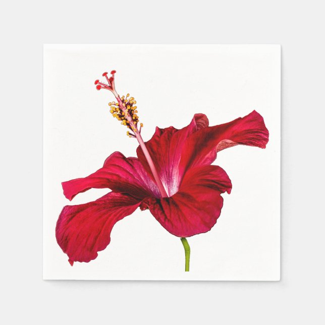 Seitenansicht der Blume des roten Hibiskus Serviette (Vorderseite)