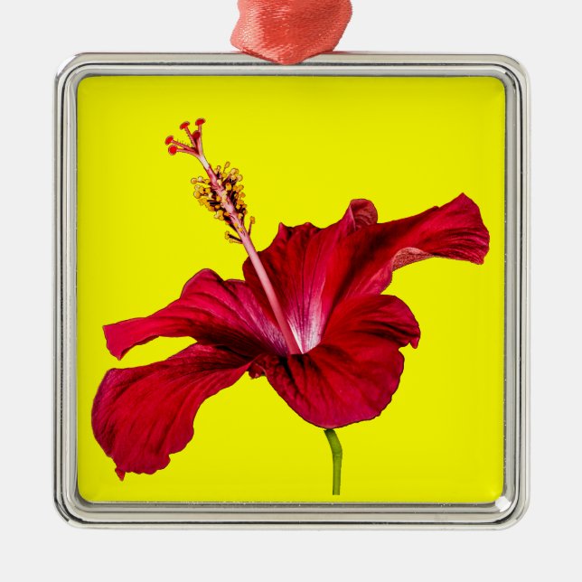 Seitenansicht der Blume des roten Hibiskus Silbernes Ornament (Vorne)