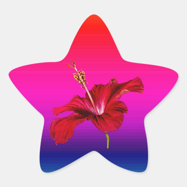Seitenansicht der Blume des roten Hibiskus Stern-Aufkleber (Vorderseite)