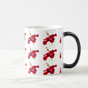 Seitenansicht der Blume des roten Hibiskus Verwandlungstasse