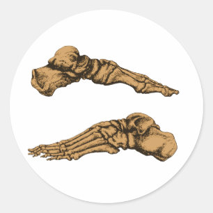 Seitenansicht der Knochen der Füße - Sepia Runder Aufkleber