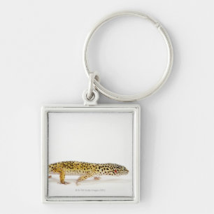 Seitenansicht der Leopard Geckoeidechse Schlüsselanhänger