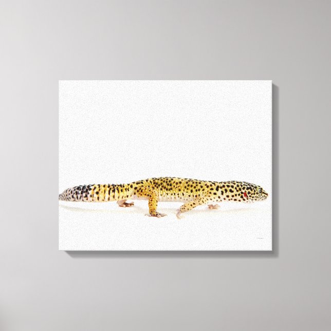 Seitenansicht der Leopardenechse Leinwanddruck (Vorderseite)