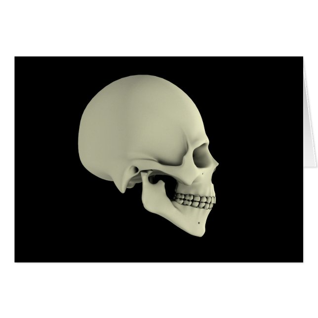 Seitenansicht des menschlichen Schädels (Vorderseite (Horizontal))