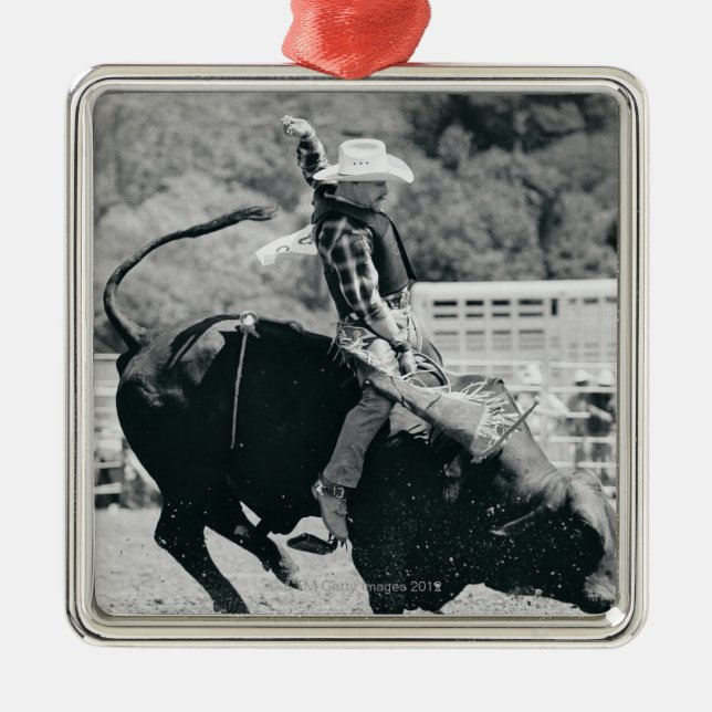 Seitenansicht des Reiters an hängend zu Silbernes Ornament (Vorne)