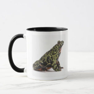 Seitenansicht einer orientalisches Feuer Tasse