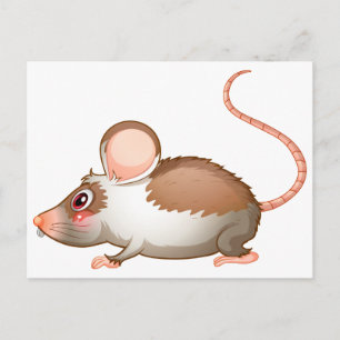 Seitenansicht einer Ratte Postkarte