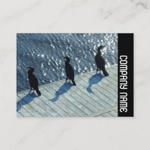 Seitenband - drei Kormorane Visitenkarte