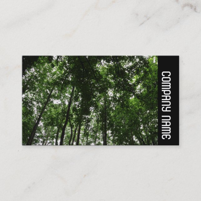 Seitenband - Holzkanopie 01 Visitenkarte (Vorderseite)