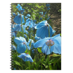 Seitenhimalajanotizbuch der blauen Mohnblume 80 Notizblock