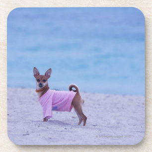 Seitenprofil eines Hundes stehend auf dem Strand, Untersetzer
