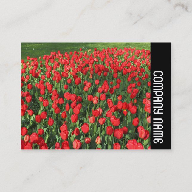 Seitliche Band - Bett von Red Tulips 02 Visitenkarte (Vorderseite)