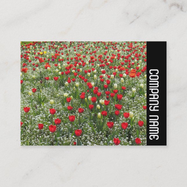 Seitliche Band - Bett von Tulips Visitenkarte (Vorderseite)