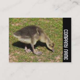 Seitliche Band - Gosling Visitenkarte