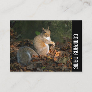 Seitliche Band - Graues Eichhörnchen Visitenkarte