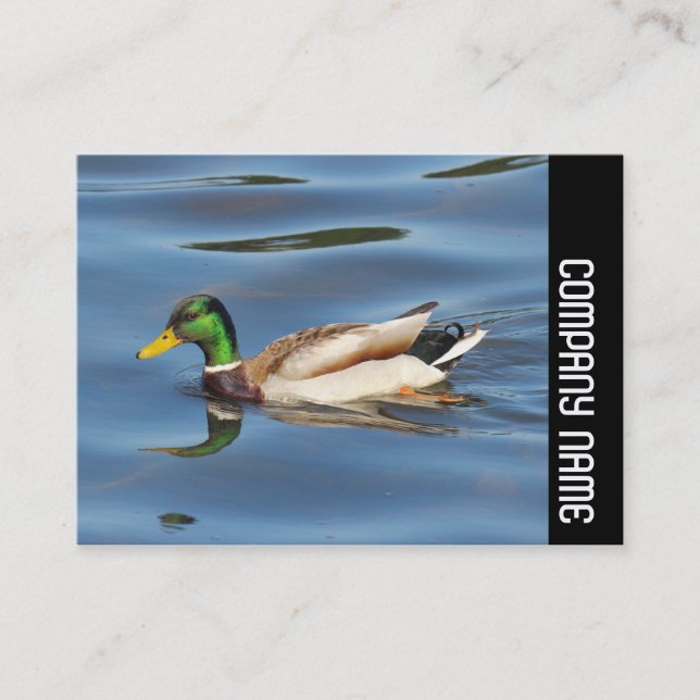 Seitliche Band - Mallard Duck Visitenkarte (Vorderseite)