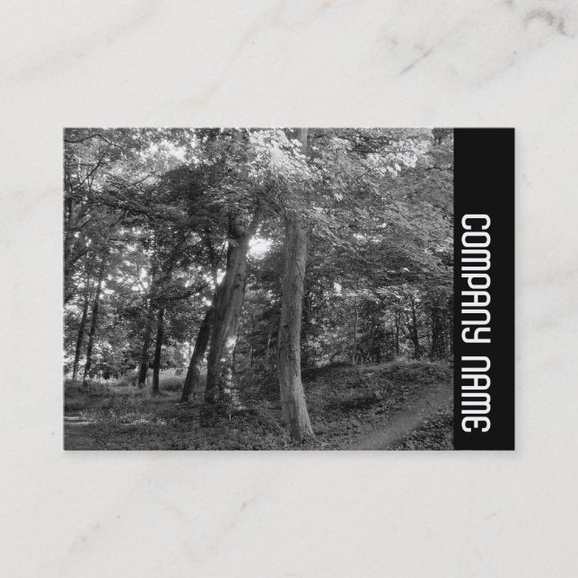 Seitliche Band - Sommer im Wald Visitenkarte (Vorderseite)