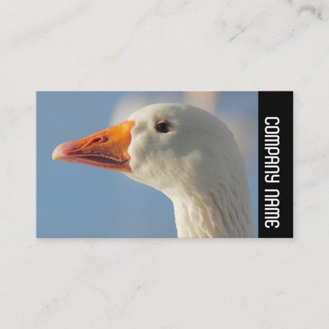 Seitliche Band - Weiße Gans Visitenkarte (Vorderseite)