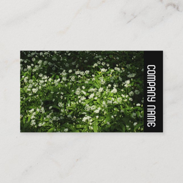 Seitliche Band - Wilder Knoblauch Visitenkarte (Vorderseite)