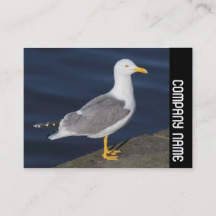 Seitliche Kette - Gelbkörner Visitenkarte